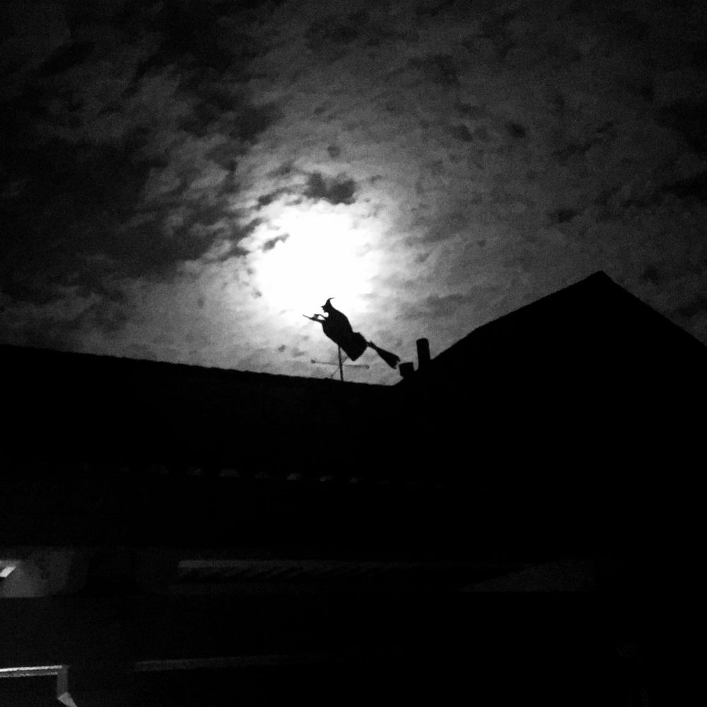 Meet your Posher, Lora